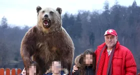 Galerie foto - poza 2