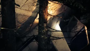 Atata incompetenta, atata nesimtire! Vedetele, revoltate de modul in care a avut loc operatiunea de salvare