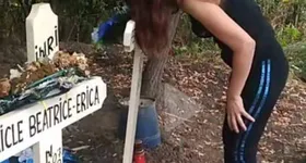 Galerie foto - poza 2