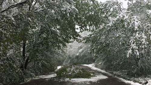 METEO 14 IANUARIE! ANM a emis cod galben de vânt! Care sunt zonele vizate