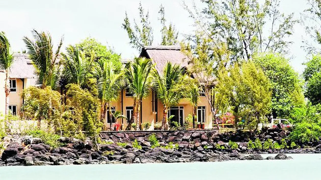 Omorata in luna de miere