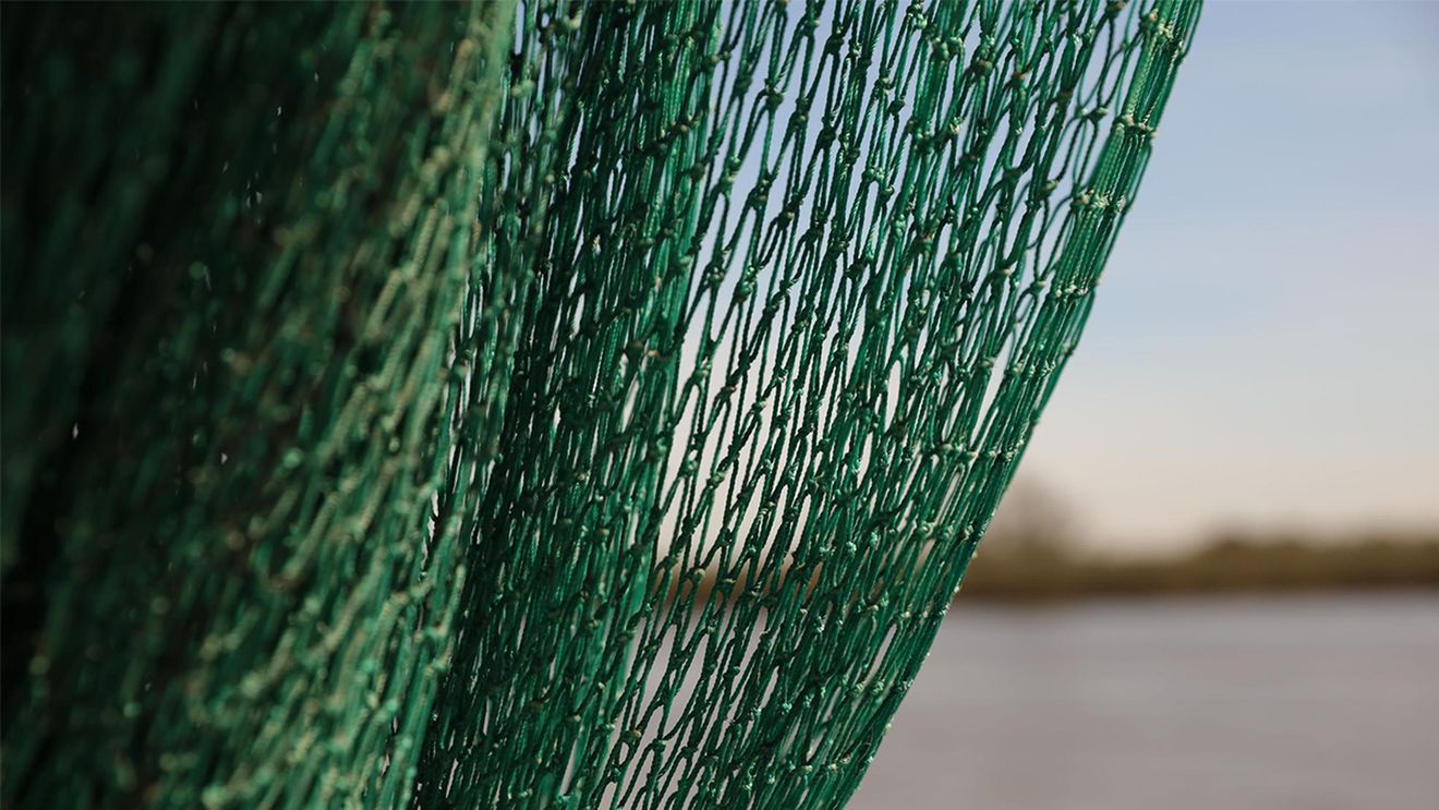 (P) Rolul plasei de umbrire în grădinărit: Protecție, eficiență și economisire