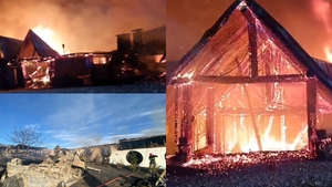 Dezvăluirea care schimbă tot ce se ştia despre Ferma Dacilor! O angajată a spus tot ce s-a întâmplat