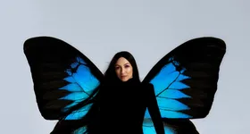 Galerie foto - poza 2