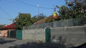 S-a intamplat ieri in Bucuresti! Povestea pustiului atacat de pittbul: poftea la gutui, dar s-a ales cu urechea sfasiata!