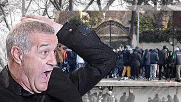 Asalt la palatul lui Gigi Becali! Finanțatorului FCSB i-a stat inima când a privit pe fereastră