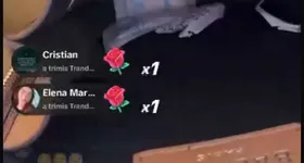 Galerie foto - poza 4