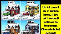 Test IQ | Un jaf a avut loc în cartier și toți cei 4 suspecți susțin că erau acasă. Cine e hoțul, de fapt?