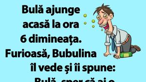 BANC | Bulă ajunge acasă la ora 6 dimineața