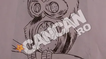 Semnele tribale sunt istorie! Bufnita e ultima fita in materie de tatuaje! Uite ce reprezinta!