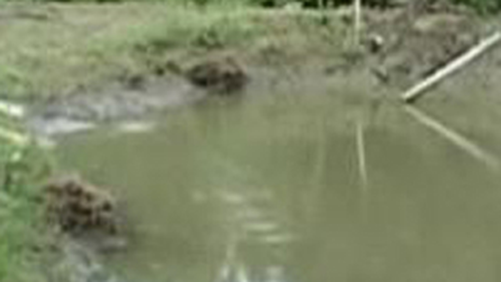 VIDEO Un copil de numai 4 ani a murit inecat intr-un lac din Bistrita Nasaud!