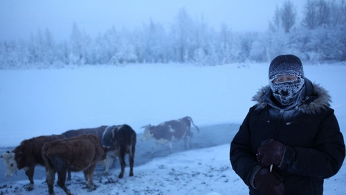 Crezi ca stii ce este frigul? Vezi care este cel mai inghetat loc din lume si cum rezista locuitorii de acolo la minus 50 grade