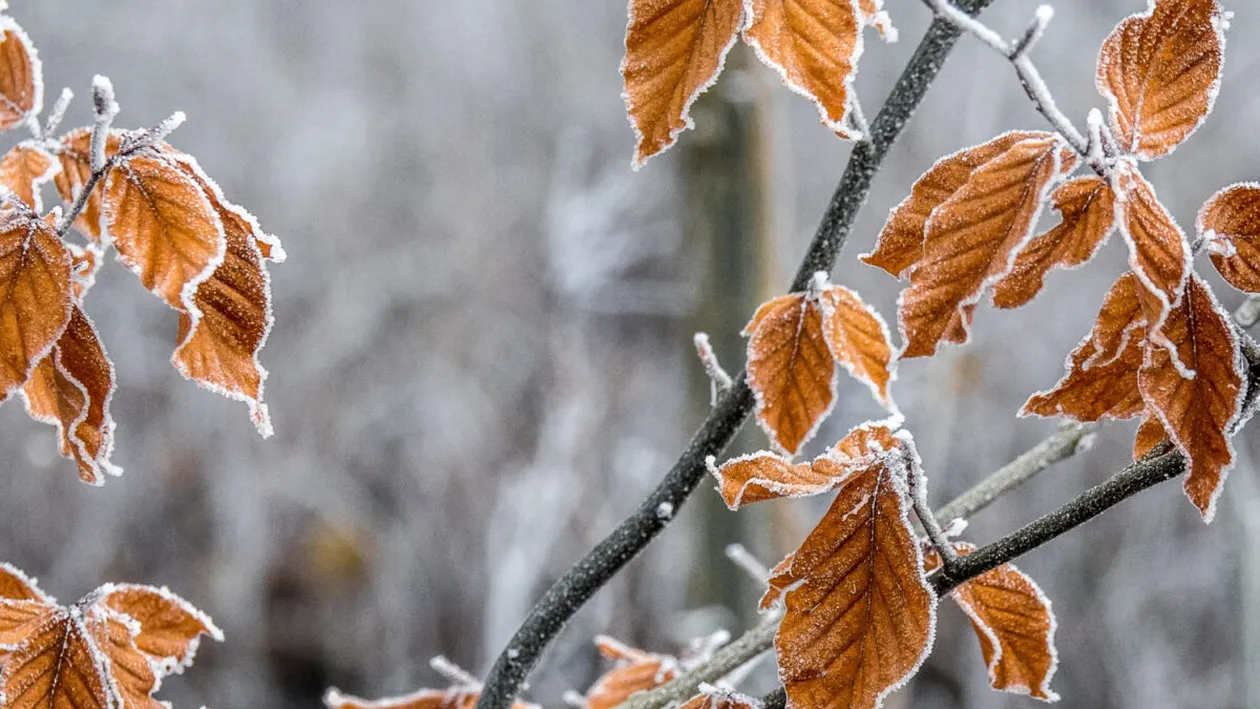 Prognoza meteo pentru joi, 18 decembrie 2025. Frigul pune stăpânire pe România