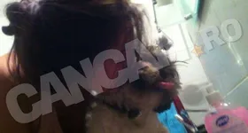 Galerie foto - poza 4