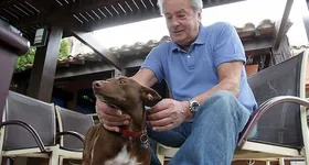 Galerie foto - poza 4