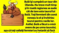 BANC | Bulă și taurul din Olanda