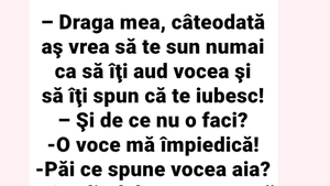 BANC | "Draga mea, câteodată aș vrea să te sun numai ca să îți aud vocea și să îți spun că te iubesc"