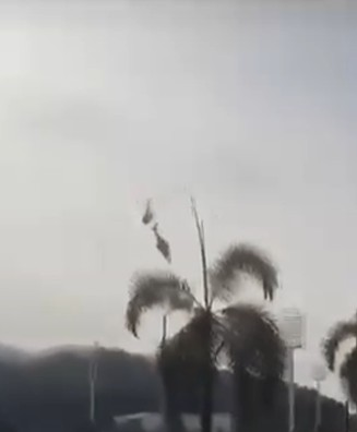 Tragedie în lumea artistică! Cântărețul Oliver Tree și alte 5 persoane au murit după ciocnirea a două elicoptere