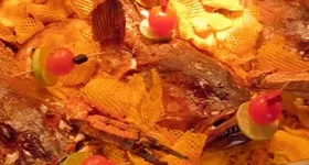 Galerie foto - poza 1