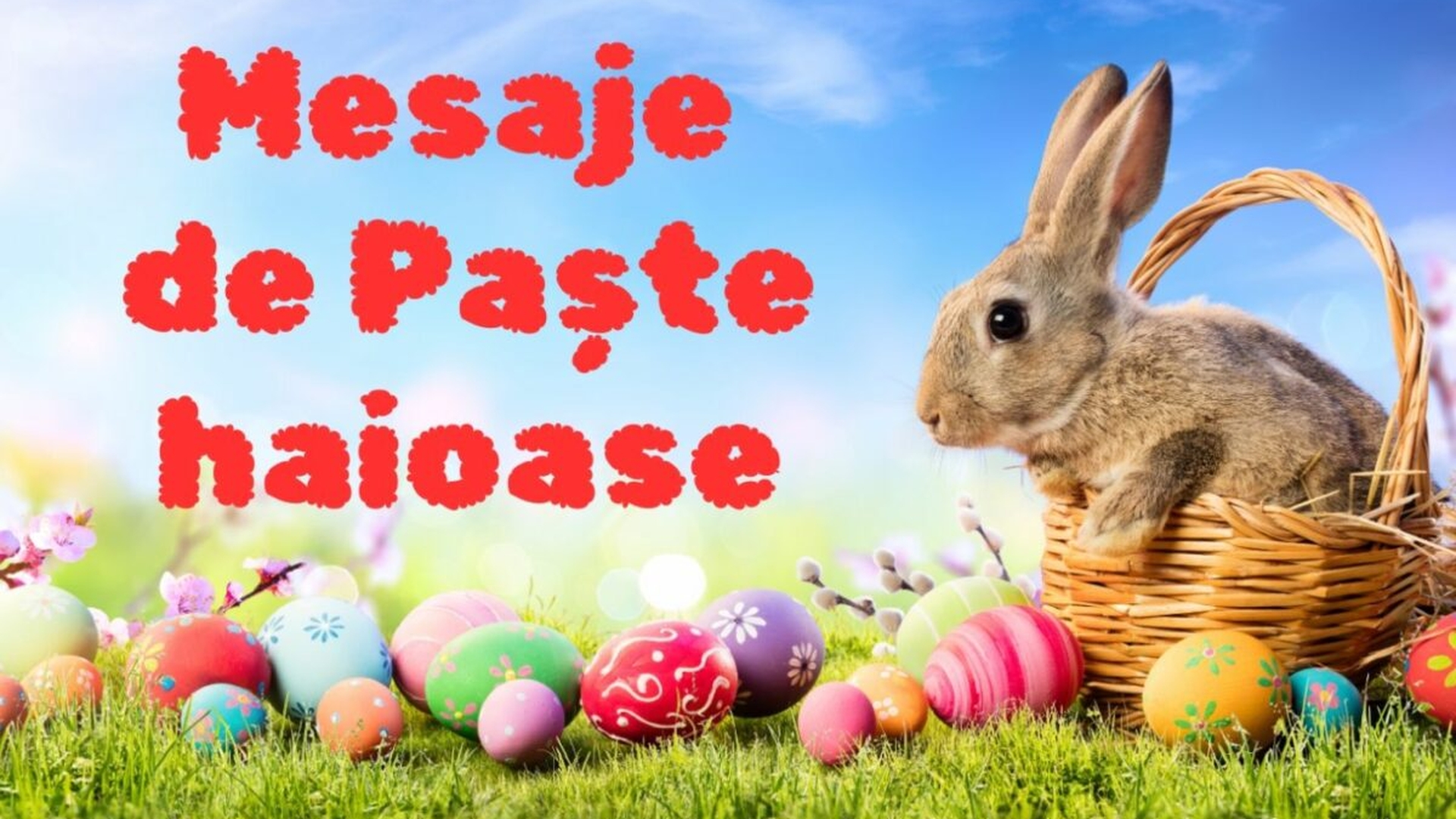 Mesaje de Paște haioase: Iepurași amuzanți și urări cu umor pentru prieteni și colegi