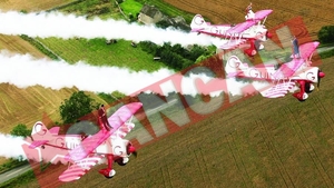 S-au casatorit pe avion