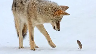 Ce prieten si-a ales!