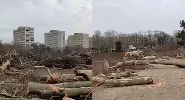 Imagini APOCALIPTICE cu parcul IOR. Toată mini-pădurea a fost tăiată fără milă, iar locul arata ca un câmp