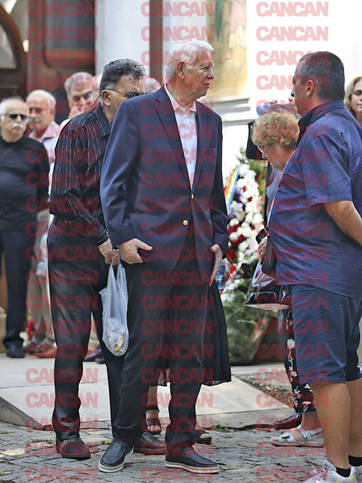 Fostul ministru de Externe Teodor Meleșcanu