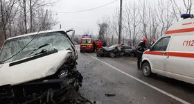 Galerie foto - poza 2