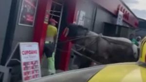 Incident neașteptat într-un supermarket din Suceava. Un cal a intrat cu tot cu căruță pe ușa magazinului