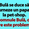 BANC | „Domnule Bulă, dar care este problema?”
