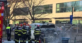 Galerie foto - poza 2