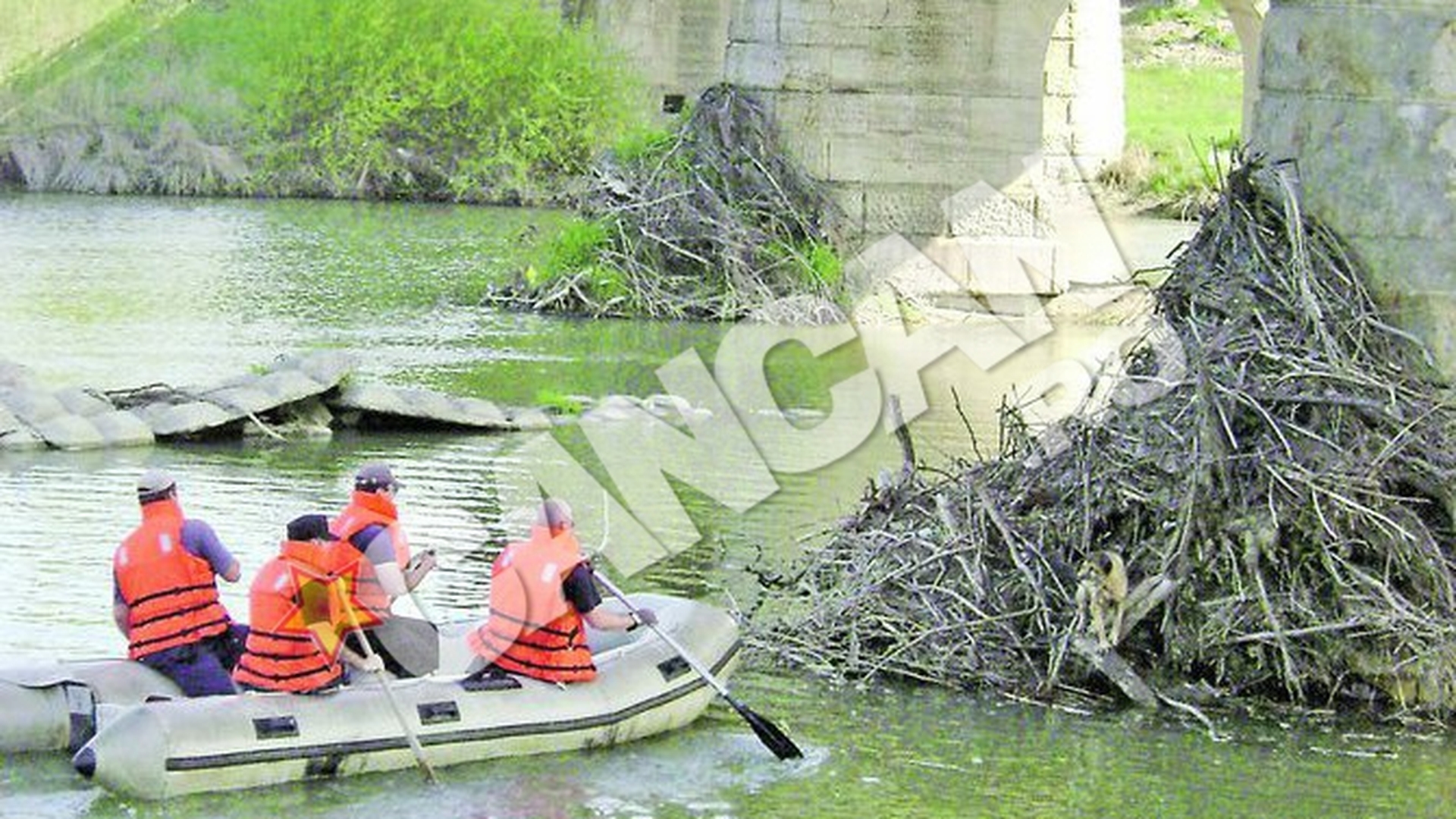 Pompierii din Suceava, in actiune! Catel salvat din mijlocul apelor
