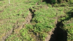 Alunecare de teren în Vâlcea, mai multe gospodării evacuate. Primar: "Se aud zgomote ciudate"