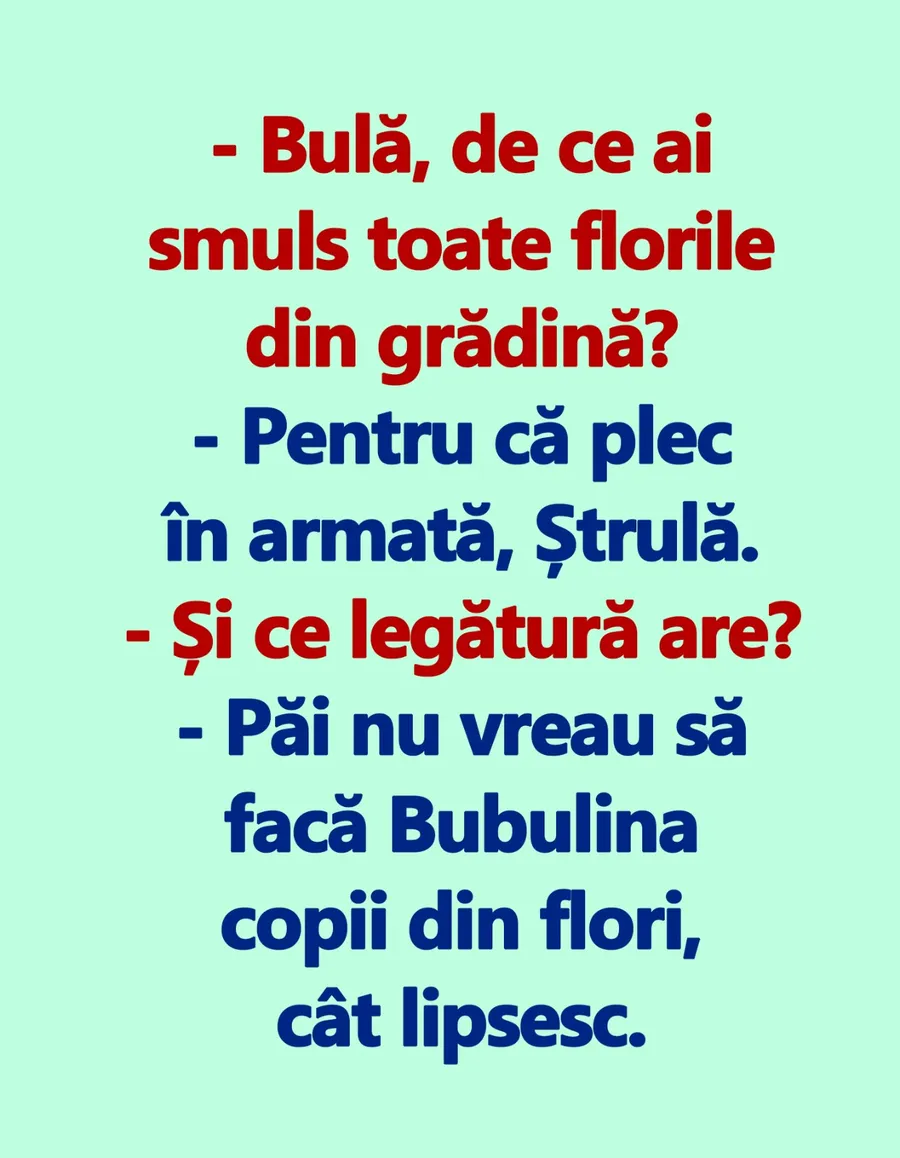 BANC | "Bulă, de ce ai smuls toate florile din grădină?" 