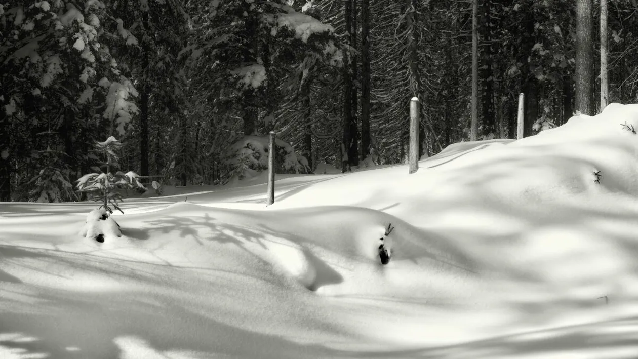 Prognoza meteo azi, 26 februarie 2026. Ger în centrul țării, soare și maxime de până la 10°C în vestul României