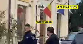 Galerie foto - poza 2