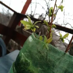 Imagine Galerie #3