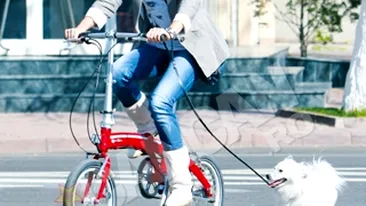 Diana Dumitrescu se plimba cu bicicleta si cu cainele in acelasi timp