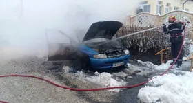 Galerie foto - poza 3