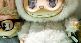 Galerie foto - poza 4