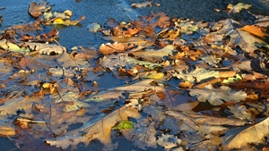 Se întorc ploile! Anunț de ultimă oră de la meteorologi