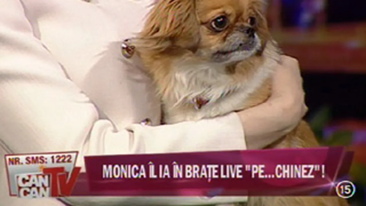 VIDEO Cea mai tare gluma de la CANCAN TV! Artene si Mantea i l-au adus PE CHINEZ Monicai Gabor in direct! Vezi cum l-a luat in brate si cum s-a bucurat!