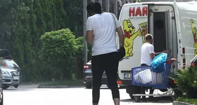 Galerie foto - poza 3