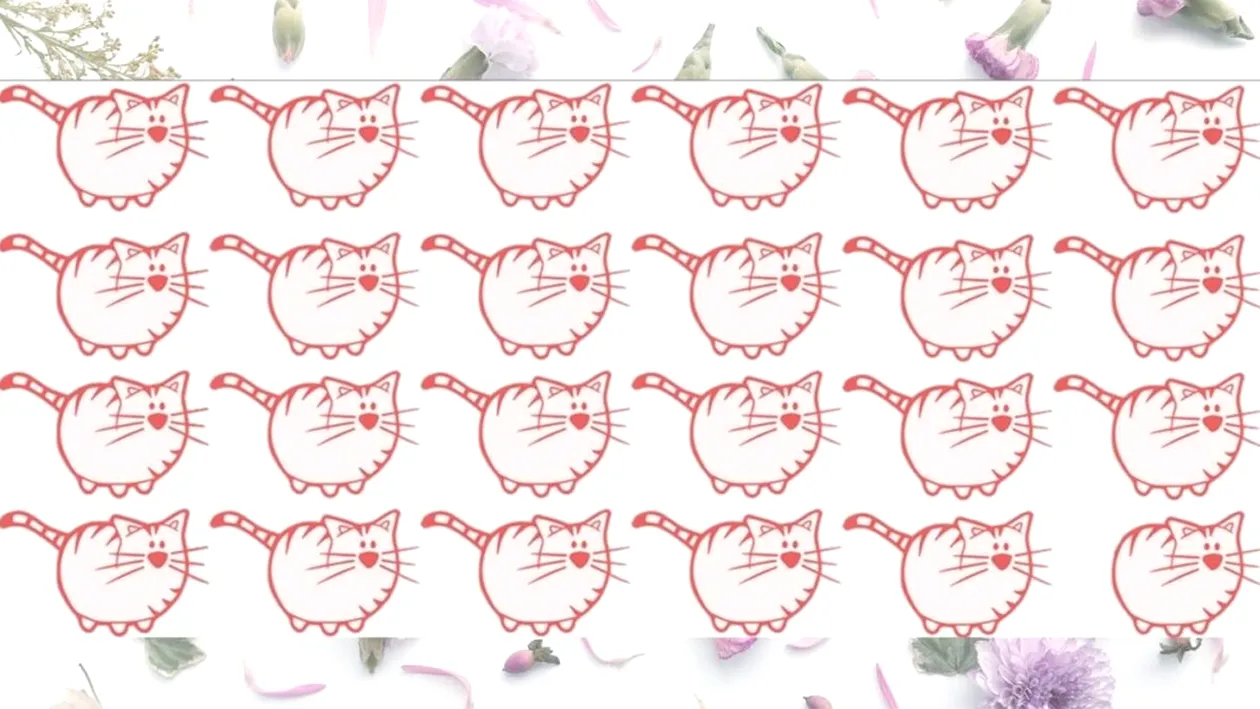 Test de logică | Găsiți singura pisică diferită de toate celelalte!