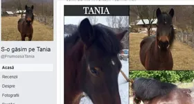 Galerie foto - poza 2