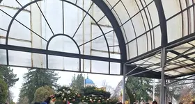 Galerie foto - poza 1