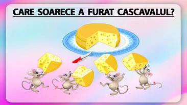 TEST IQ | Care dintre cei 4 șoricei a furat bucata de cașcaval?