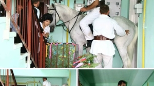 Imagini incredibile! A intrat într-un bloc călare pe un cal ca să își ceară mireasa de la părinți: "Un cavaler la pețit"