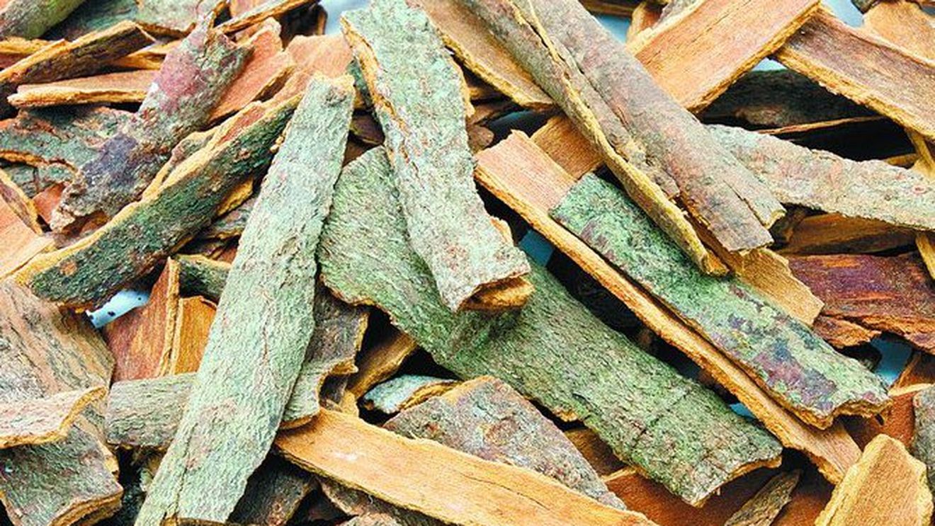 Scortisoara, remediul la indemana oricui